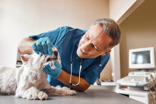 Best Emergency Treatment for Dental Infections or Abscesses in Dahlone, GA